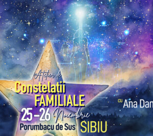 Constelatii familiale cu Ana Daniela Tanasuc 1536x804 1 mec thumb 300 268